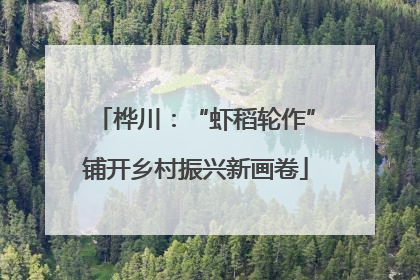 桦川：“虾稻轮作”铺开乡村振兴新画卷