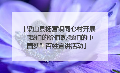 梁山县杨营镇同心村开展“我们的价值观·我们的中国梦”百姓宣讲活动