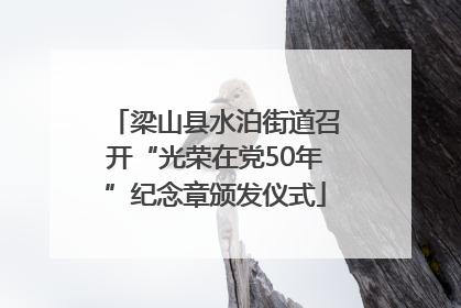 梁山县水泊街道召开“光荣在党50年”纪念章颁发仪式