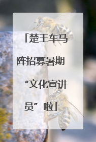 楚王车马阵招募暑期“文化宣讲员”啦
