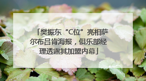 樊振东“C位”亮相萨尔布吕肯海报，俱乐部经理透露其加盟内幕