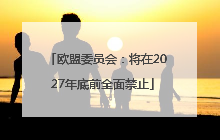 欧盟委员会：将在2027年底前全面禁止