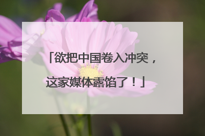欲把中国卷入冲突，这家媒体露馅了！