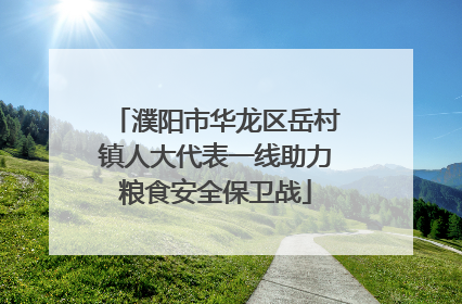 濮阳市华龙区岳村镇人大代表一线助力粮食安全保卫战