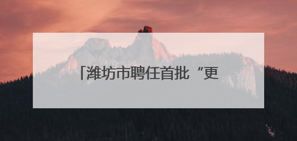 潍坊市聘任首批“更好潍坊”行业推介官