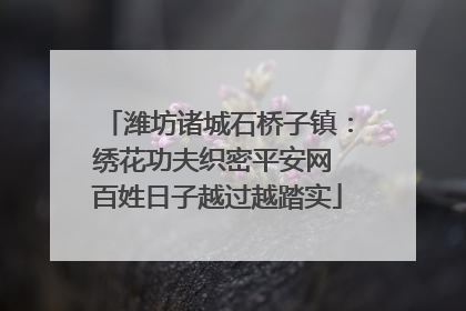 潍坊诸城石桥子镇：绣花功夫织密平安网 百姓日子越过越踏实