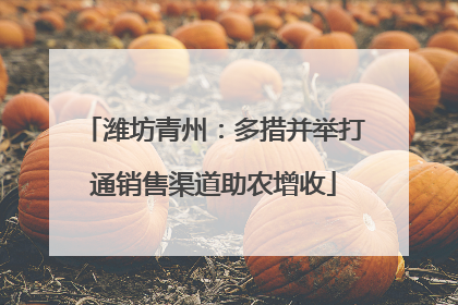 潍坊青州：多措并举打通销售渠道助农增收