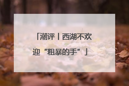潮评丨西湖不欢迎“粗暴的手”
