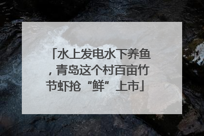 水上发电水下养鱼，青岛这个村百亩竹节虾抢“鲜”上市