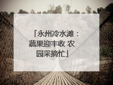 永州冷水滩：蔬果迎丰收 农园采摘忙