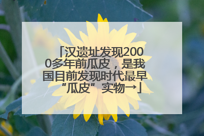 汉遗址发现2000多年前瓜皮，是我国目前发现时代最早“瓜皮”实物→
