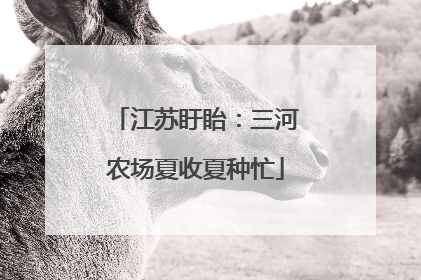 江苏盱眙：三河农场夏收夏种忙