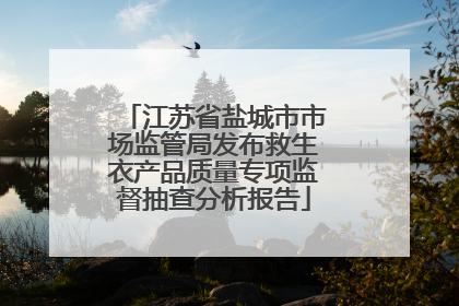 江苏省盐城市市场监管局发布救生衣产品质量专项监督抽查分析报告