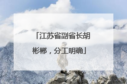 江苏省副省长胡彬郴，分工明确