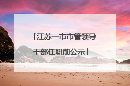 江苏一市市管领导干部任职前公示