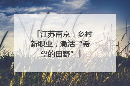 江苏南京：乡村新职业，激活“希望的田野”