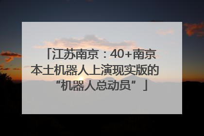 江苏南京：40+南京本土机器人上演现实版的“机器人总动员”
