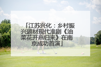 江苏兴化：乡村振兴题材现代淮剧《油菜花开燕归来》在南京成功首演