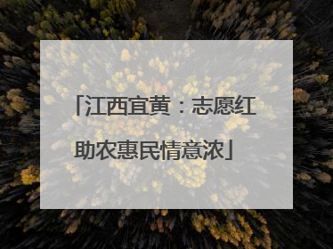 江西宜黄：志愿红助农惠民情意浓