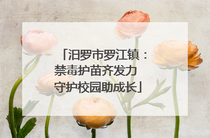 汨罗市罗江镇：禁毒护苗齐发力 守护校园助成长