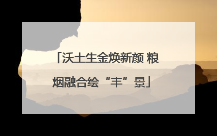 沃土生金焕新颜 粮烟融合绘“丰”景
