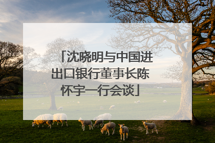 沈晓明与中国进出口银行董事长陈怀宇一行会谈