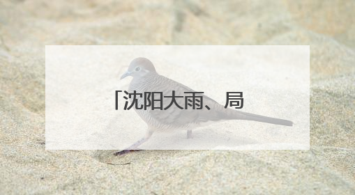 沈阳大雨、局部暴雨！局地可能出现龙卷