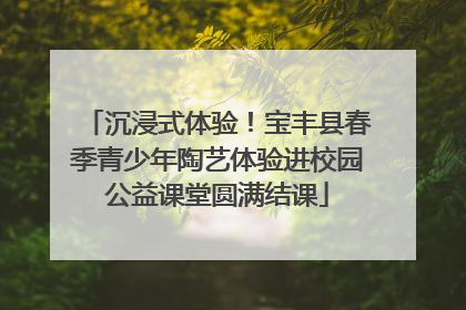 沉浸式体验！宝丰县春季青少年陶艺体验进校园公益课堂圆满结课