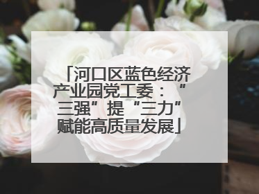 河口区蓝色经济产业园党工委：“三强”提“三力”赋能高质量发展