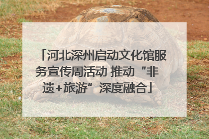 河北深州启动文化馆服务宣传周活动 推动“非遗+旅游”深度融合