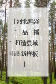 河北鸡泽“一品一播”打造县域电商新样板