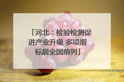 河北：检验检测促进产业升级 多项指标居全国前列