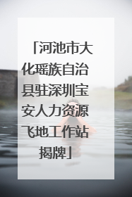 河池市大化瑶族自治县驻深圳宝安人力资源飞地工作站揭牌