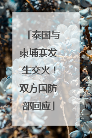 泰国与柬埔寨发生交火！双方国防部回应