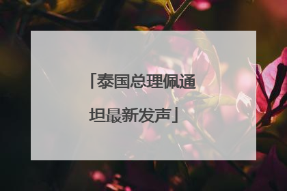 泰国总理佩通坦最新发声
