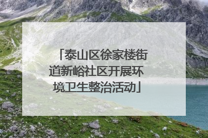 泰山区徐家楼街道新峪社区开展环境卫生整治活动