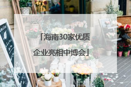 海南30家优质企业亮相中博会