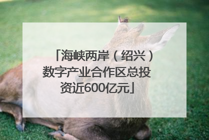 海峡两岸（绍兴）数字产业合作区总投资近600亿元