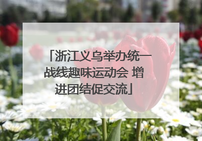 浙江义乌举办统一战线趣味运动会 增进团结促交流