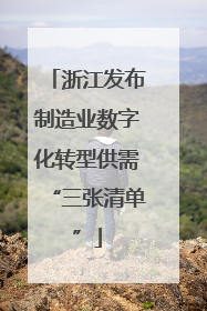浙江发布制造业数字化转型供需“三张清单”