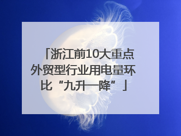 浙江前10大重点外贸型行业用电量环比“九升一降”