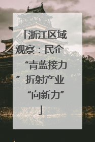 浙江区域观察：民企“青蓝接力”折射产业“向新力”