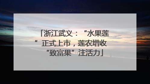 浙江武义：“水果莲”正式上市，莲农增收“致富果”注活力