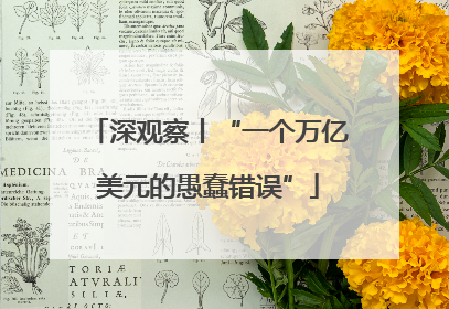 深观察丨“一个万亿美元的愚蠢错误”