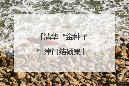 清华“金种子”津门结硕果