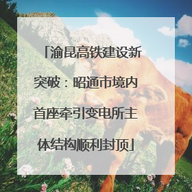 渝昆高铁建设新突破：昭通市境内首座牵引变电所主体结构顺利封顶