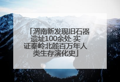 渭南新发现旧石器遗址100余处 实证秦岭北麓百万年人类生存演化史