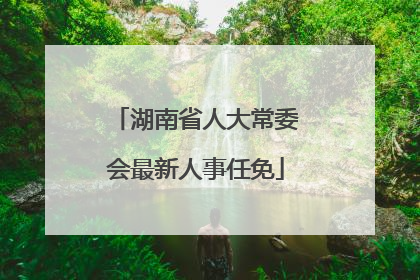 湖南省人大常委会最新人事任免