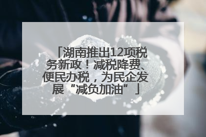湖南推出12项税务新政！减税降费、便民办税，为民企发展“减负加油”