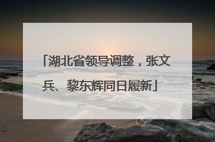 湖北省领导调整，张文兵、黎东辉同日履新